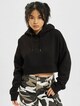 Cropped -2