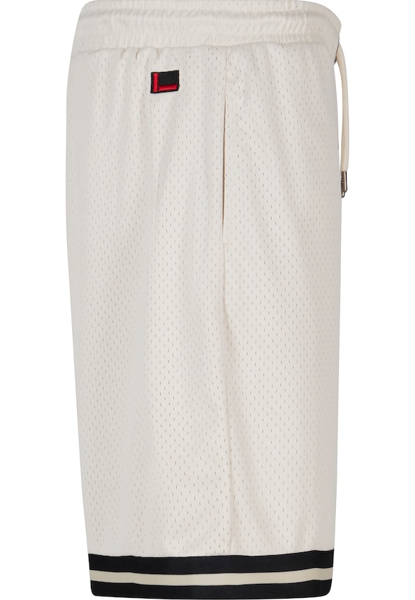 FM241-014-1 Fubu Varsity Mesh Shorts-6
