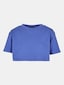 blue_109813