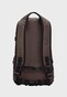brown_26807