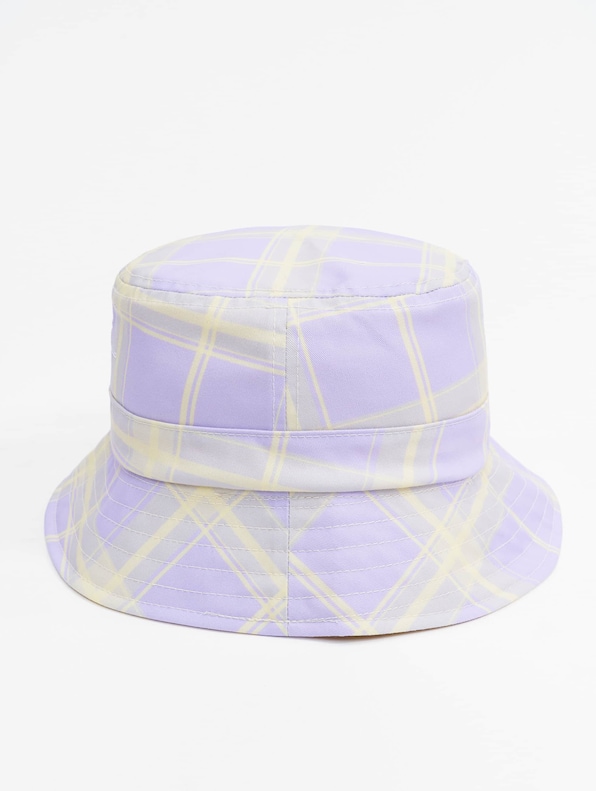 Signature Reversible Check -2