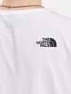 Oversize Simple Dome-3