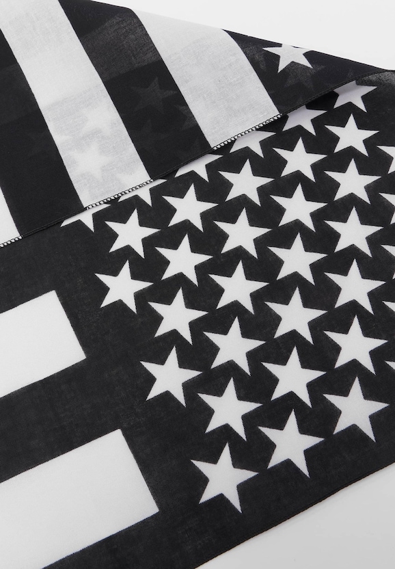 Stars & Stripes-2