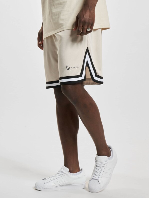 Small Signature Essential Mesh -0