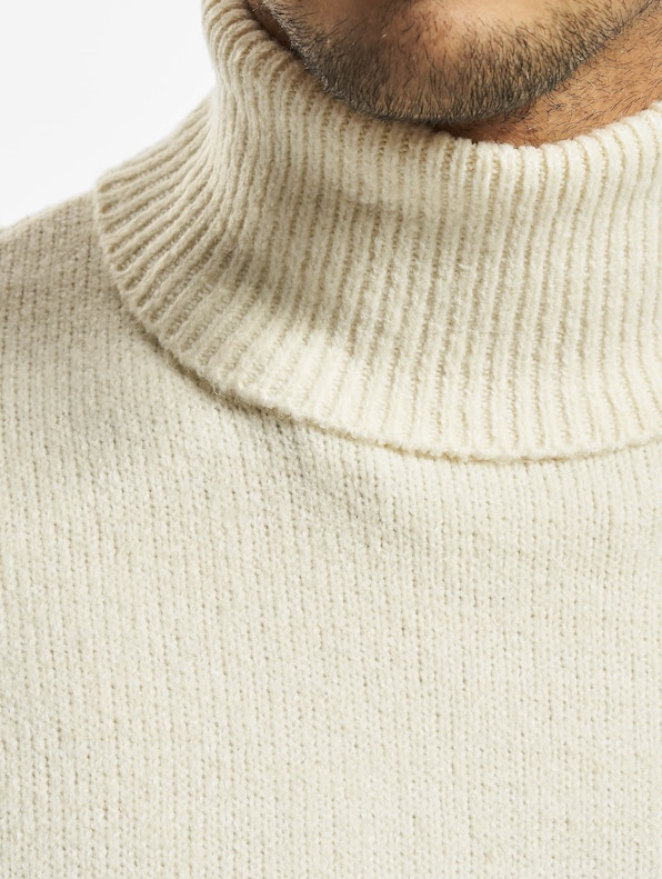 Oversized Roll Neck-3