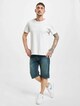 Dickies Michigan  Shorts-5
