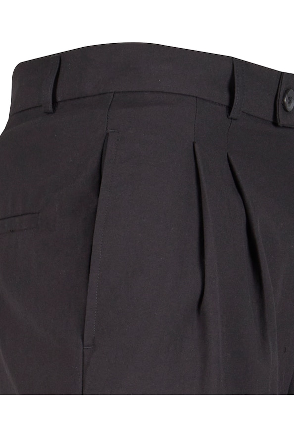 Double Pleated Pants-5