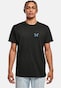 black_146251