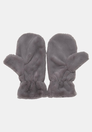 Teddy Mitten