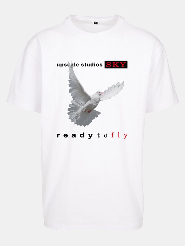  Ready to fly Oversize-4