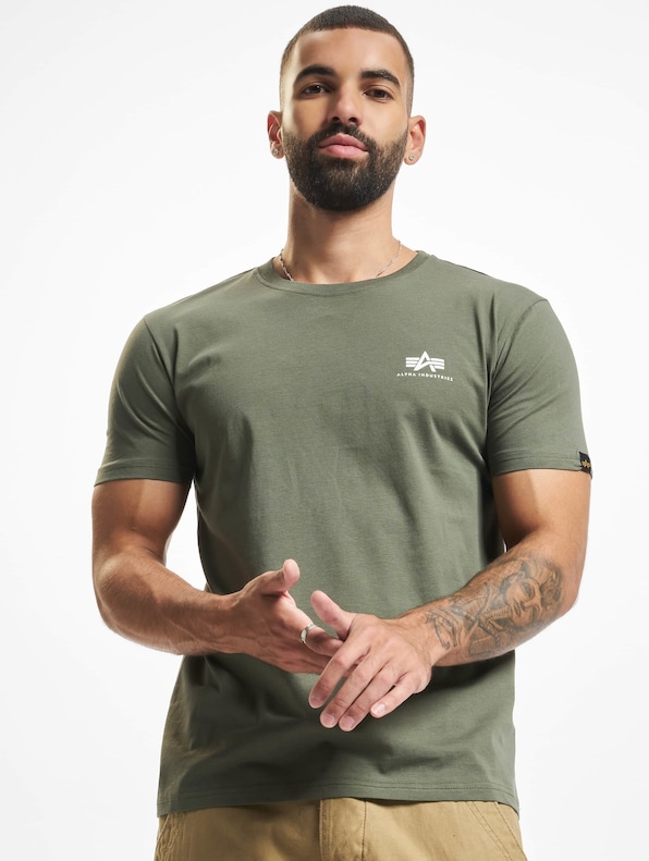 Basic Small Logo-0