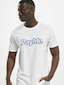 white_18723