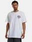 white_145938