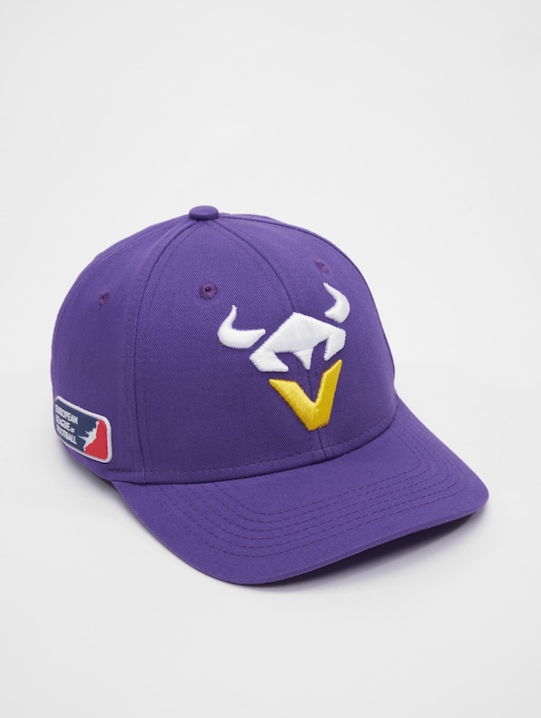  Vienna Vikings -4