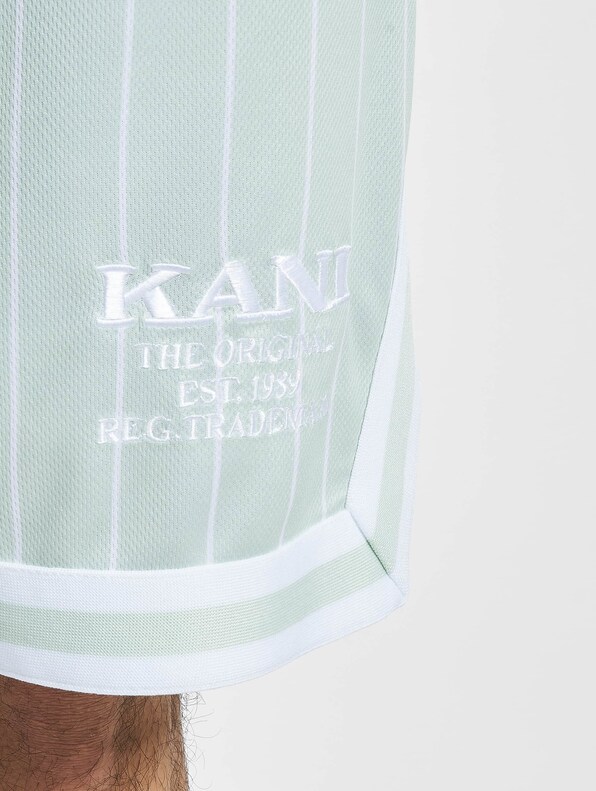 Retro Pinstripes Mesh -4