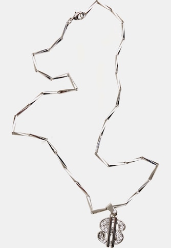 Small Dollar Necklace