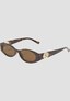 brown_207783