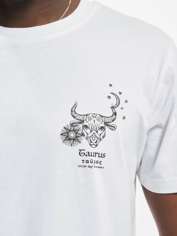 Astro Taurus-3