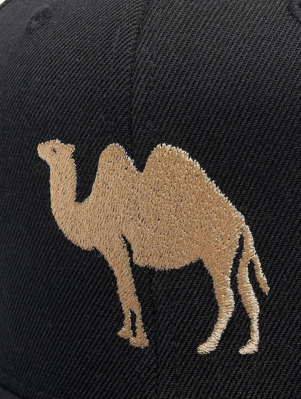 Desert Camel-3