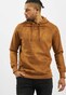 brown_10043