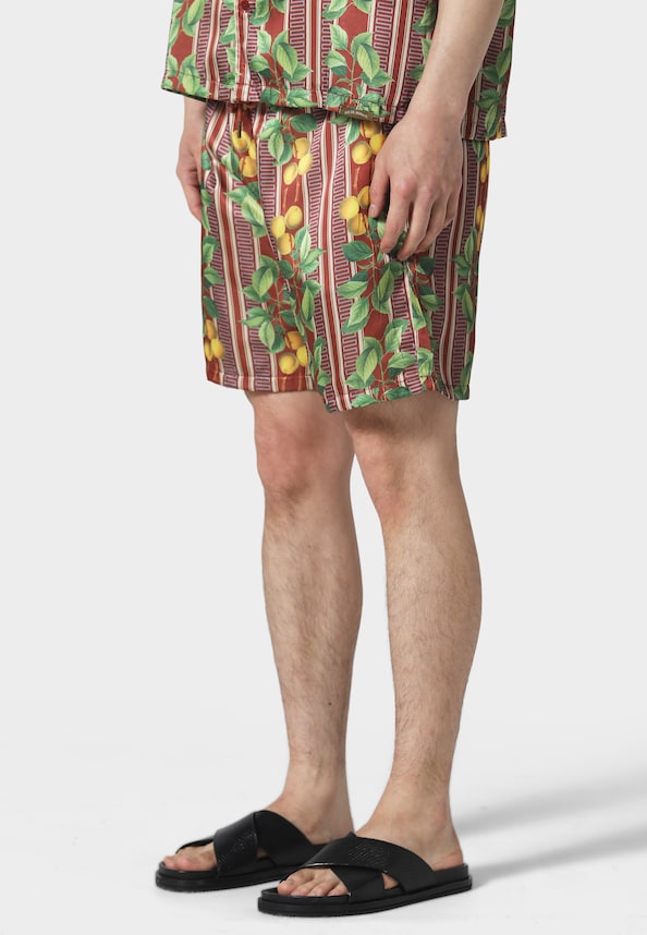 FRUITS  CUBAN SHORTS-0