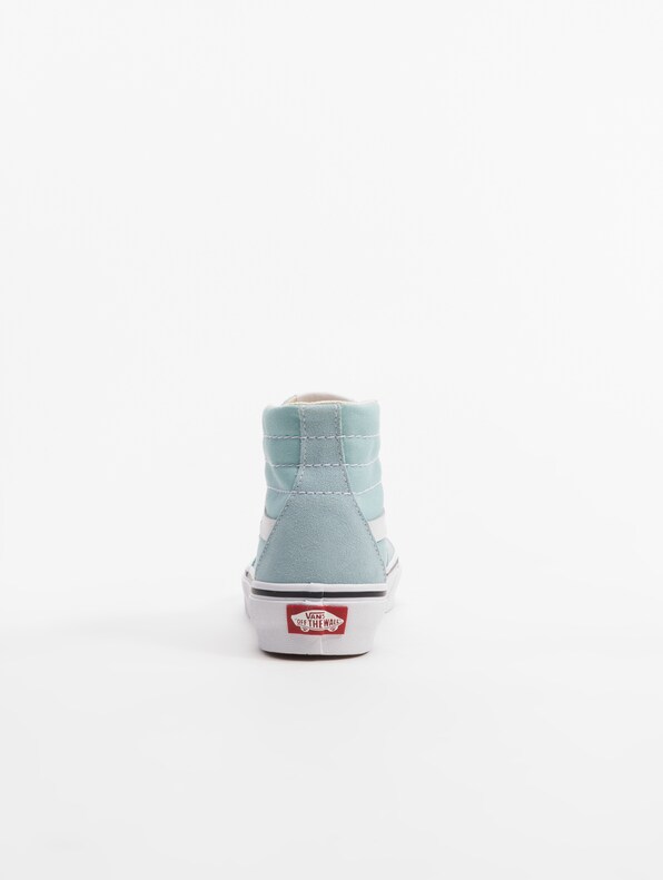 Ua Sk8-Hi Tapered Color Theory-5