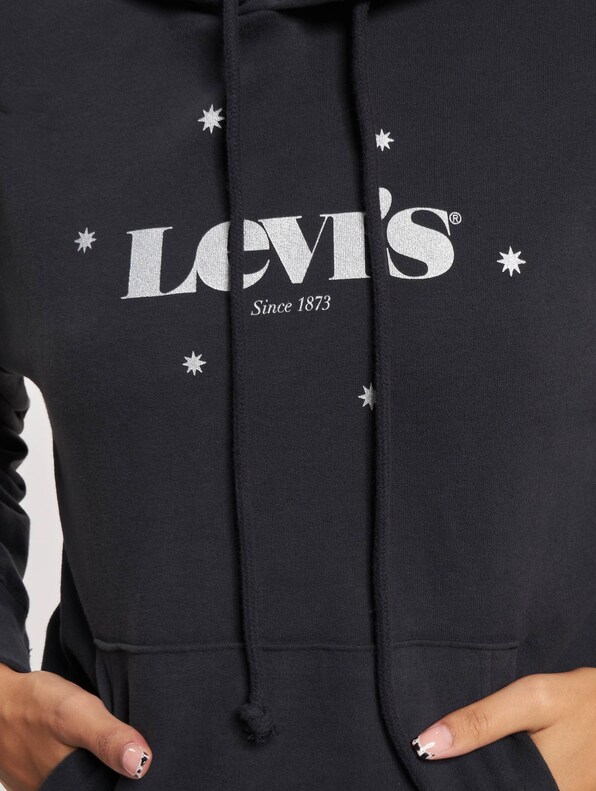 Levis Graphic Standard Hoodie-3