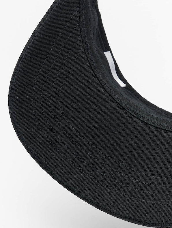 Curved Visor-2