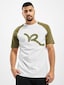 olive_14400