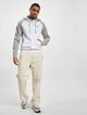 Mr. Raglan-4