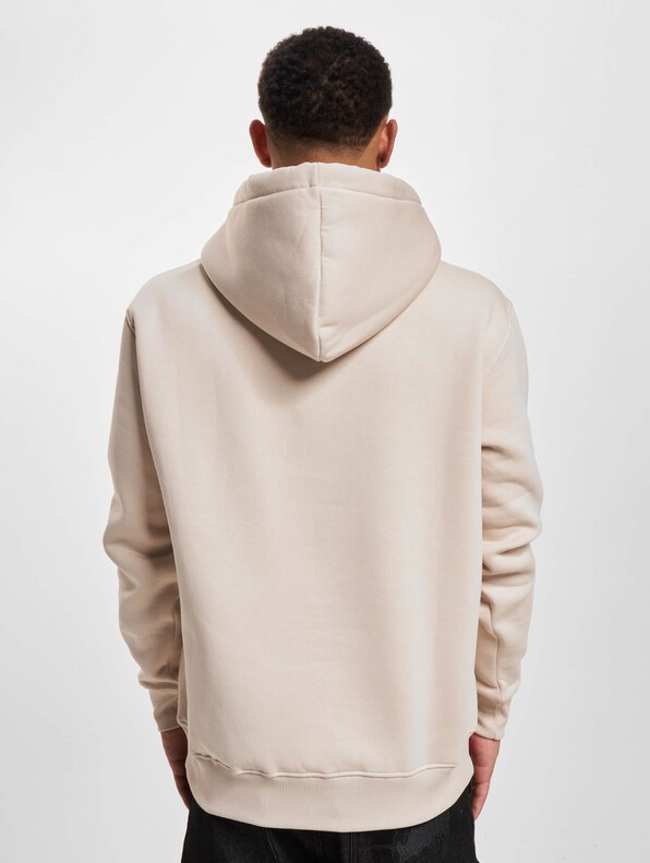 Alpha Industries Basic Small Logo Hoodies-1