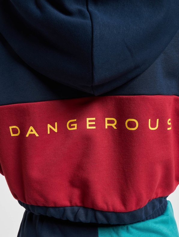 Dangerous DNGRS 4C Hoodies-4