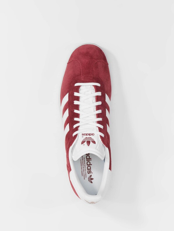 Gazelle -4