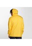 yellow_8667