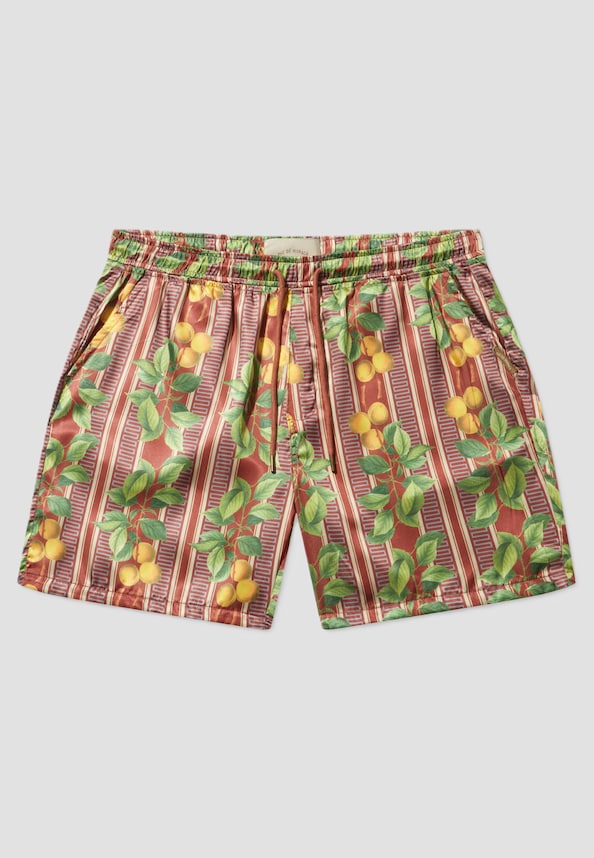 FRUITS  CUBAN SHORTS-7