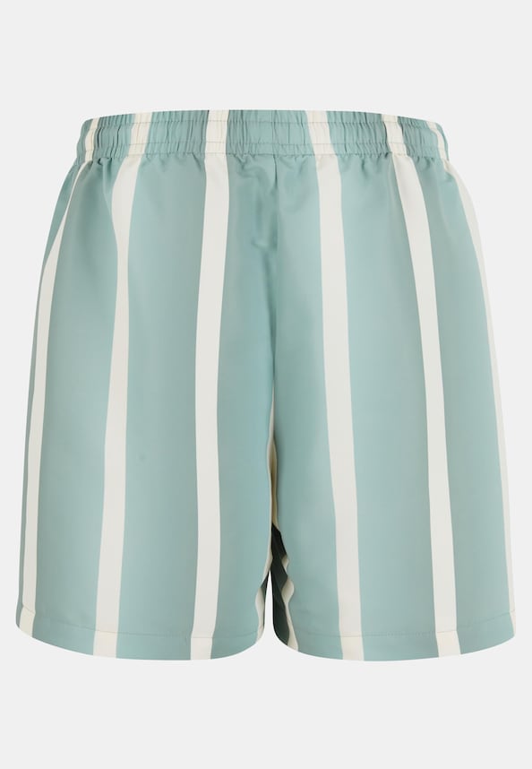 Retro Gradient Stripes-4