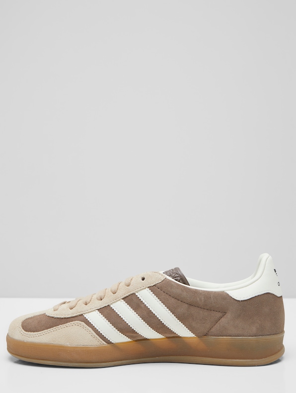 Gazelle Indoor -2