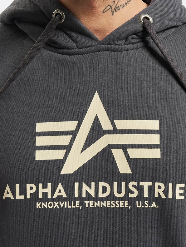 Alpha Industries Basic Hoody-4