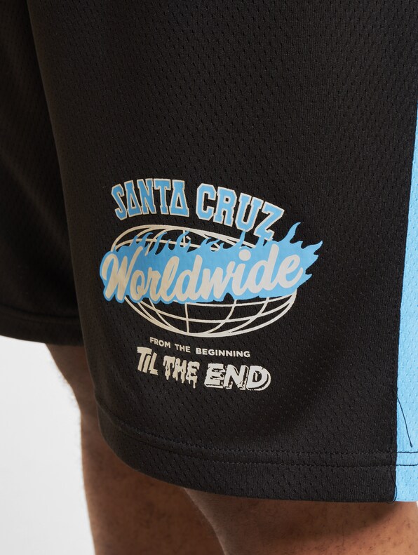 Santa Cruz TTE Worldwide Shorts-4