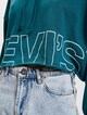 Levi's® Graphic Crop Prism T3 Hoody-5