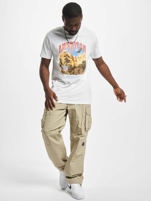 American Life Mount Roushmore-4