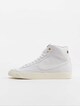 Blazer Mid '77 Cnvs-1