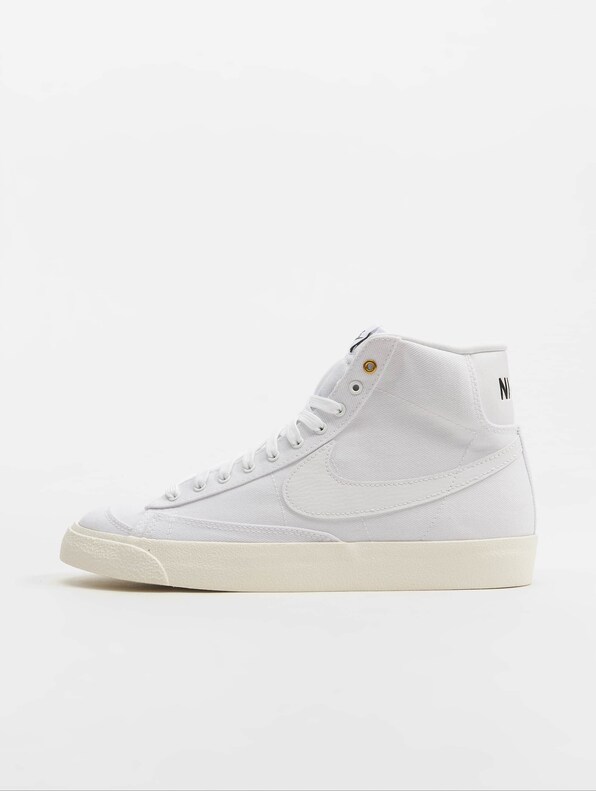 Blazer Mid '77 Cnvs-1