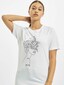 white_18562