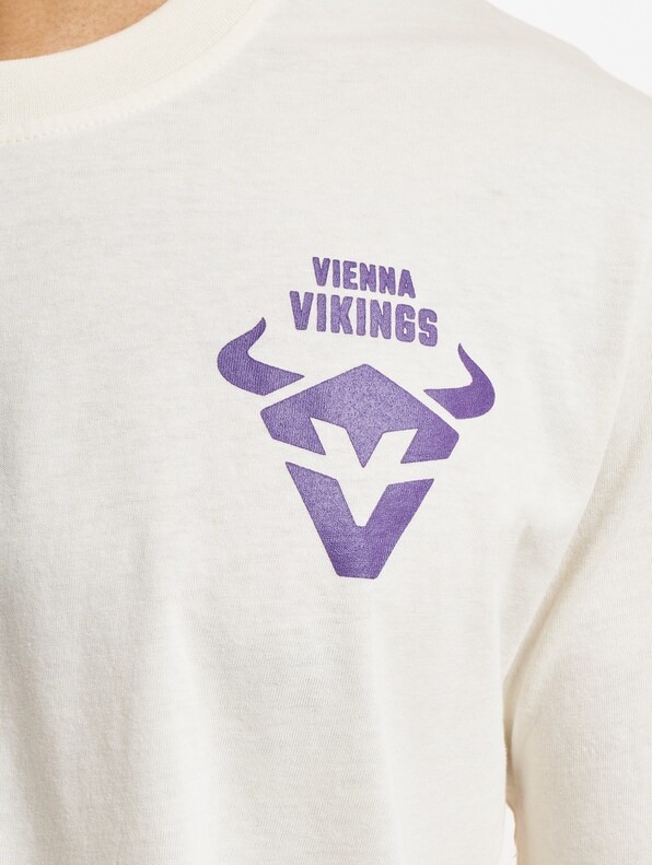 Vienna Vikings 2-4