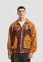 brown_141562