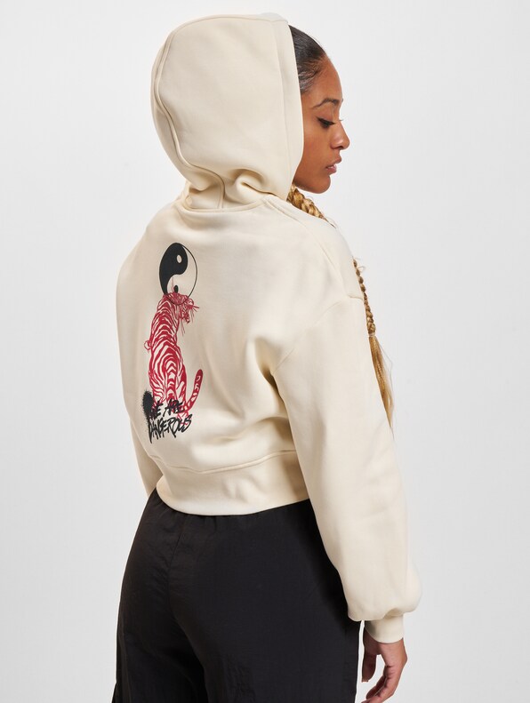 Dangerous DNGRS Strong Hoodies-1