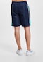 blue_71389