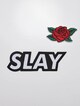 Slay Diy Terry-4