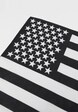 Stars & Stripes-1
